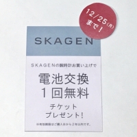 【25日まで】SKAGEN限定キャンペーン！