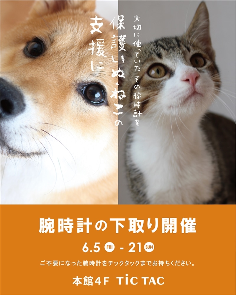 腕時計の下取り開催中!