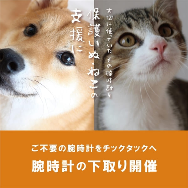 【アミュプラザ博多店】腕時計下取りで10%OFFキャンペーン開催中!保護いぬ•ねこの支援に。