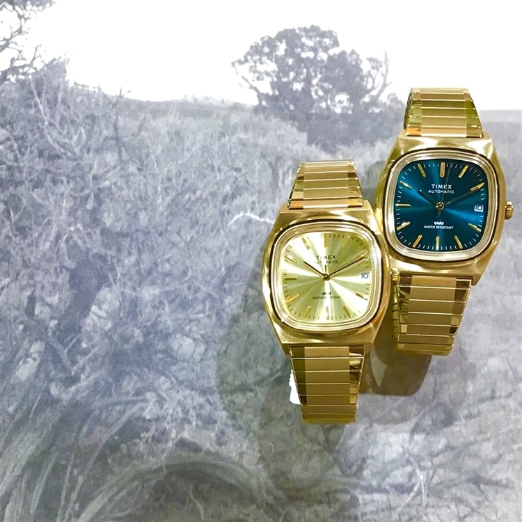青白ウィリデ 調整パーツ付き 計57枚 TIMEX】レトロなテレヴィジョンダイヤル☆ - チックタックくずはモール