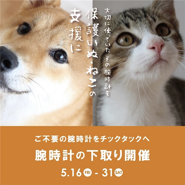 【アミュ鹿児島店】《予告》2025年5/16(金)～5/31(土)の期間、腕時計下取りキャンペーン開催。