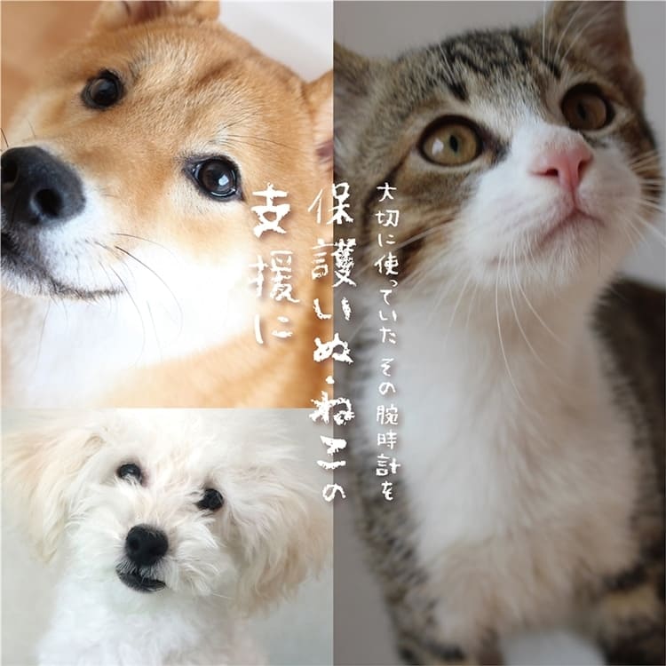 【5/31まで！！】腕時計下取りキャンペーン開催しています！！