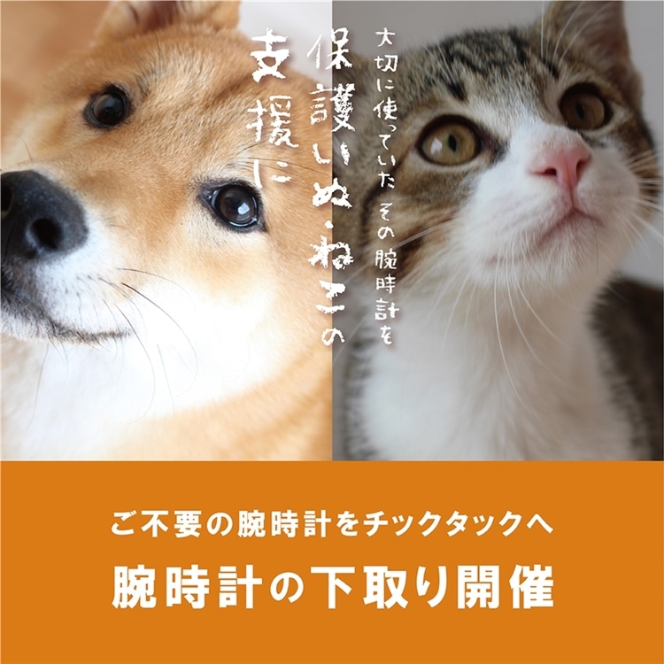 【なんばパークス店】下取りキャンペーン開催中！