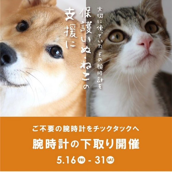 【金沢フォーラス店】腕時計下取りキャンペーン開催中！