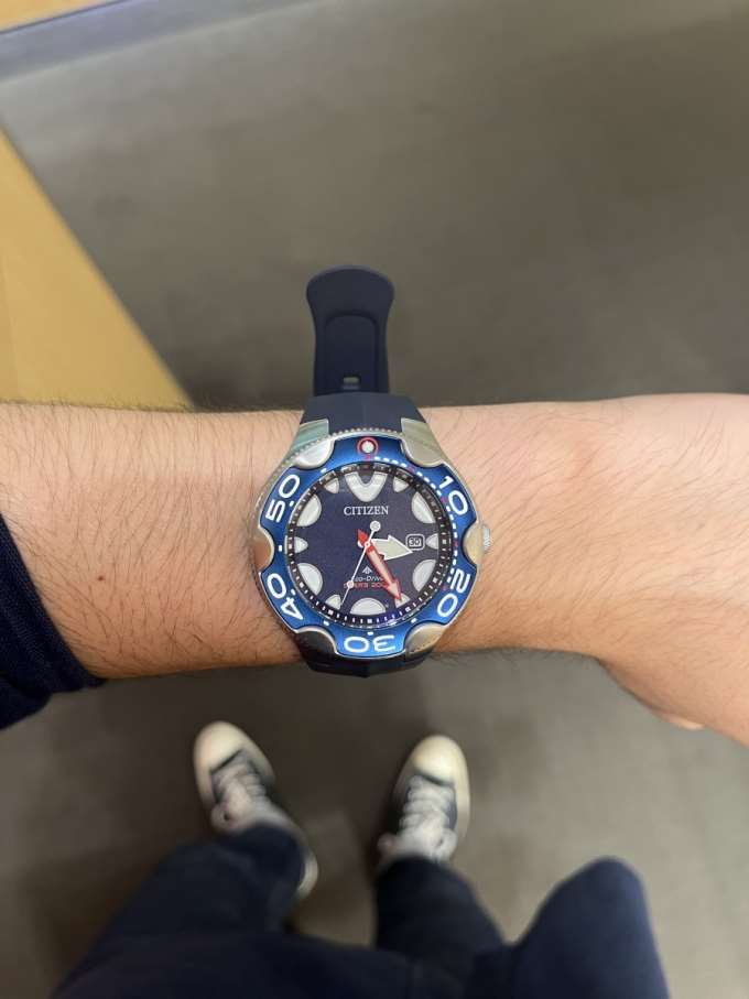 CITIZEN】オルカ（シャチ）をモチーフにしたダイバーズウォッチ