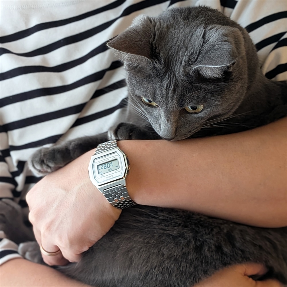 先行販売決定！シャープな佇まいが魅力の【CASIO CLASSIC】