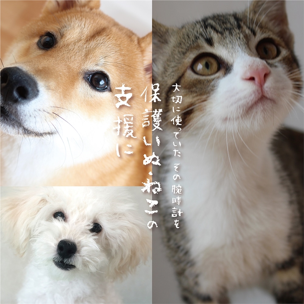 5/16(金)～腕時計下取り『大切に使っていた腕時計を保護いぬ・ねこの支援に』