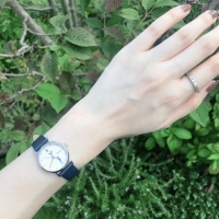 自然を感じる【ポーリーファーン】の腕時計