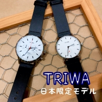 【TRIWA-トリワ-】新作入荷！！