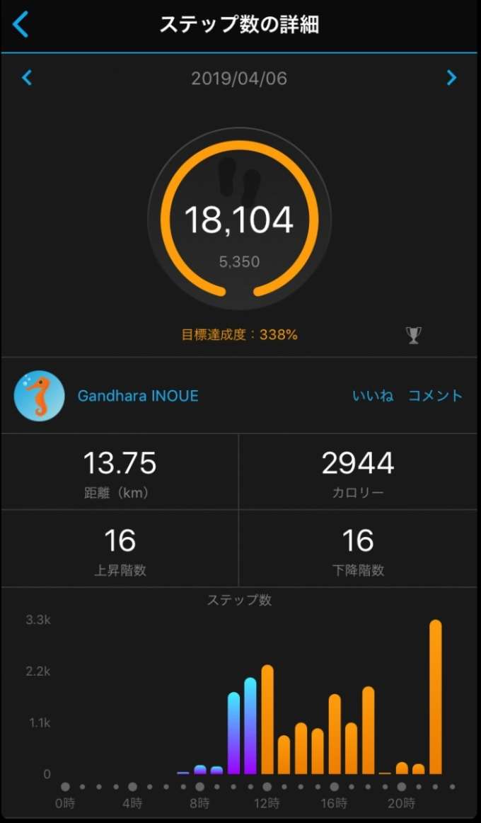 #014 タフネスGPSアウトドアウォッチ GARMIN INSTINCT その2